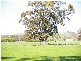 917 Bacchus Marsh Rd, Bullengarook VIC 3437