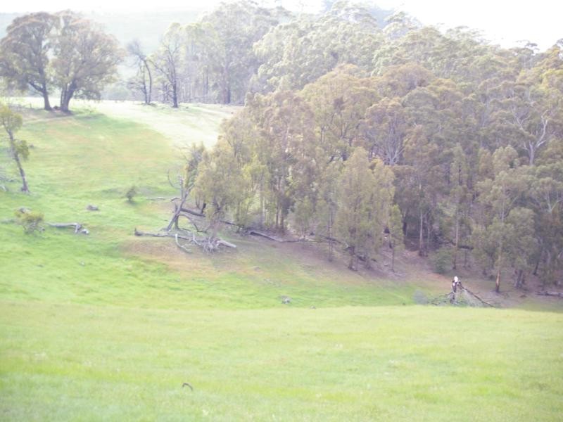 917 Bacchus Marsh Rd, Bullengarook VIC 3437