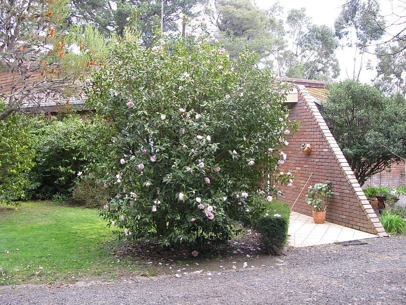 35 High Street, Woodend VIC 3442