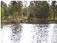 21 Cutevan Crs, Riddells Creek VIC 3431