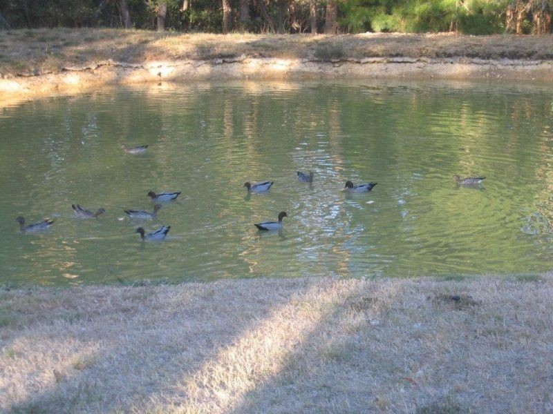 19  Bellhouse Street, Macedon VIC 3440