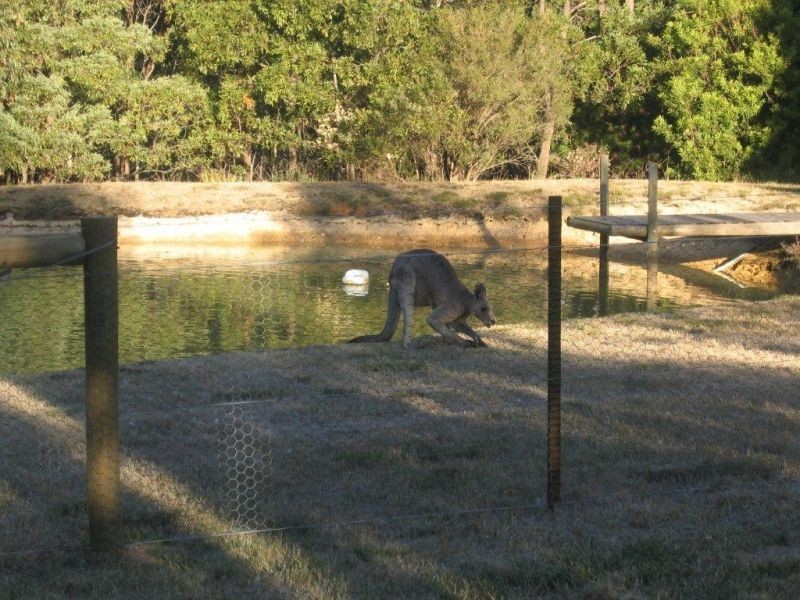 19  Bellhouse Street, Macedon VIC 3440