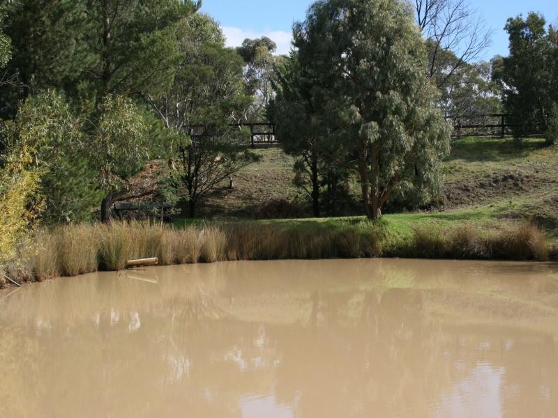 177 Blackhill Road *, Gisborne VIC 3437