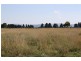 335  Settlement Road, Sunbury VIC 3429