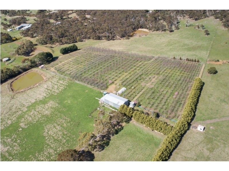 299 Couangalt Road, Gisborne South VIC 3437