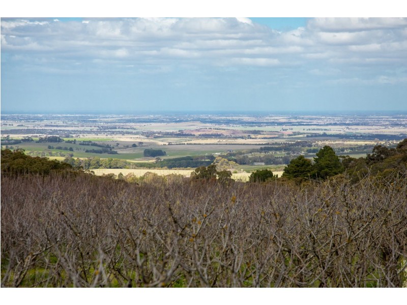 299 Couangalt Road, Gisborne South VIC 3437