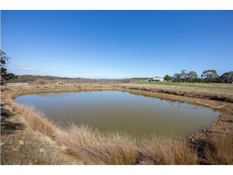299 Couangalt Road, Gisborne South VIC 3437