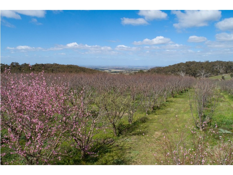 299 Couangalt Road, Gisborne South VIC 3437