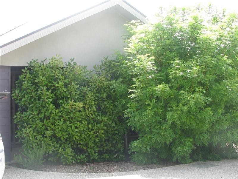 2/1-5 Rodney Street, Gisborne VIC 3437