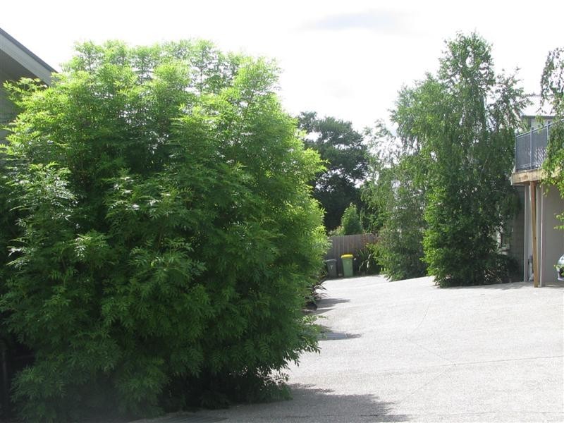 2/1-5 Rodney Street, Gisborne VIC 3437