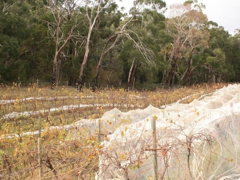 288 Gap Rd, Riddells Creek VIC 3431