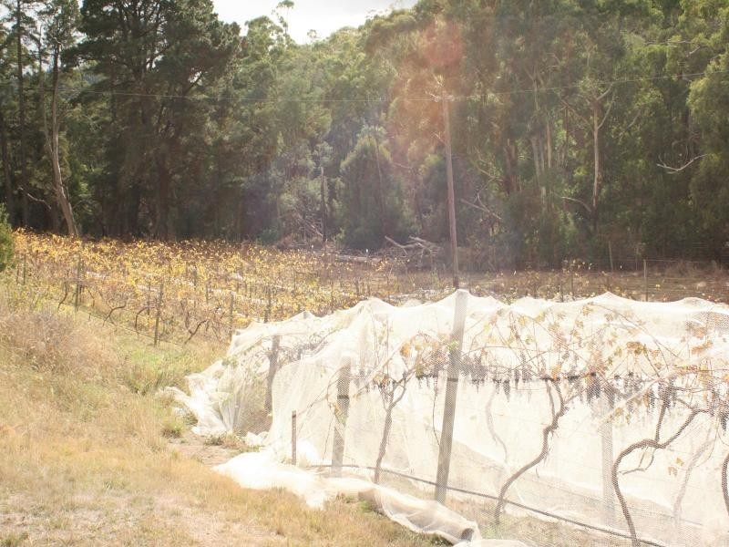 288 Gap Rd, Riddells Creek VIC 3431