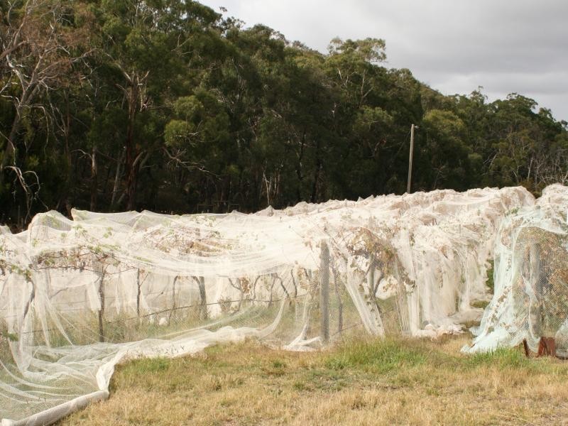 288 Gap Rd, Riddells Creek VIC 3431