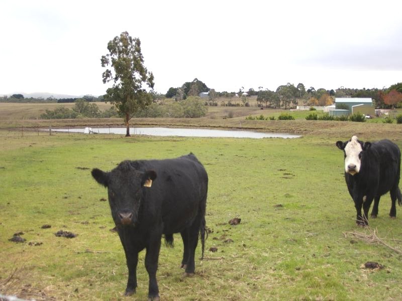 768 Gisborne-Melton Rd, Gisborne VIC 3437