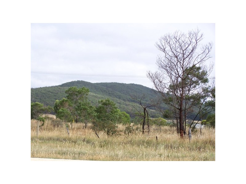 123  Markham Rd, Riddells Creek VIC 3431