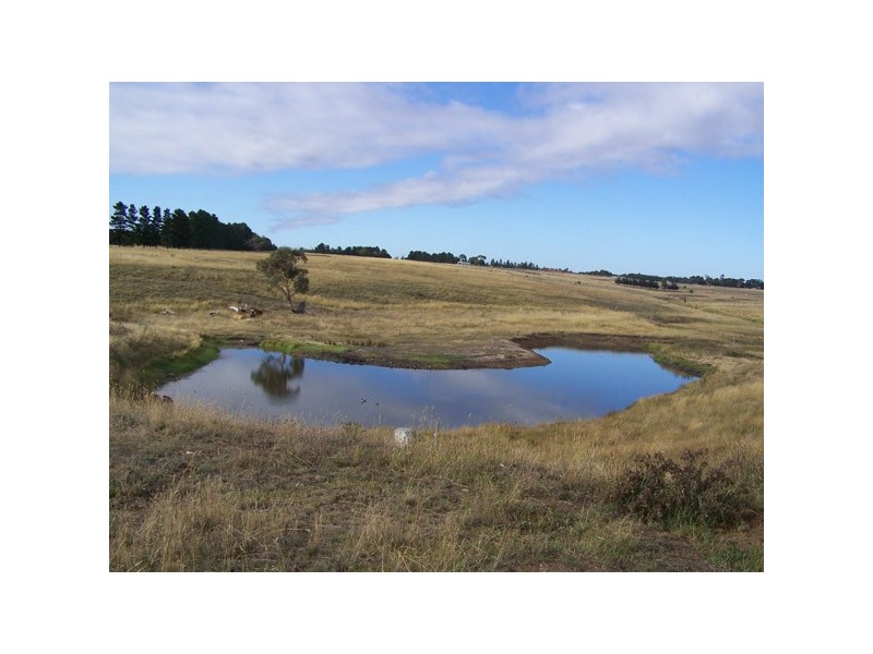 123  Markham Rd, Riddells Creek VIC 3431