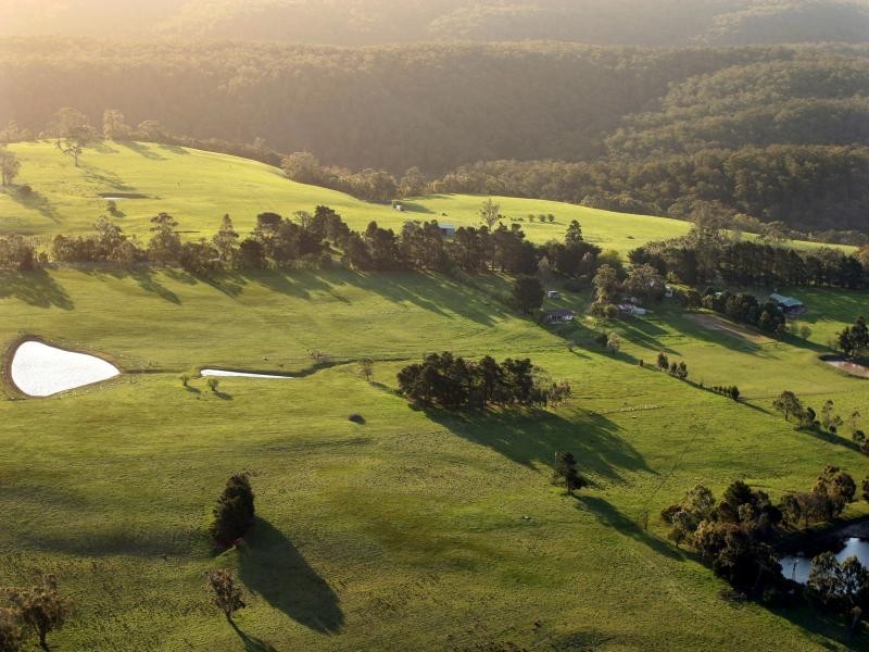 1135 Bacchus Marsh Rd*, Gisborne VIC 3437