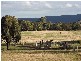 1135 Bacchus Marsh Rd*, Gisborne VIC 3437
