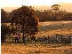 1135 Bacchus Marsh Rd*, Gisborne VIC 3437