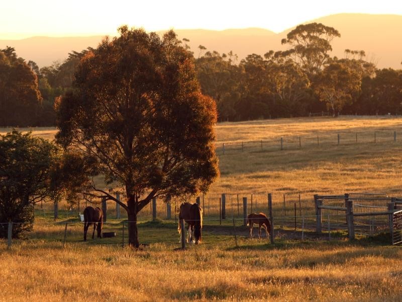 1135 Bacchus Marsh Rd*, Gisborne VIC 3437