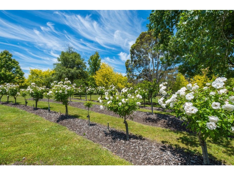 5 McConnell Road, Gisborne VIC 3437