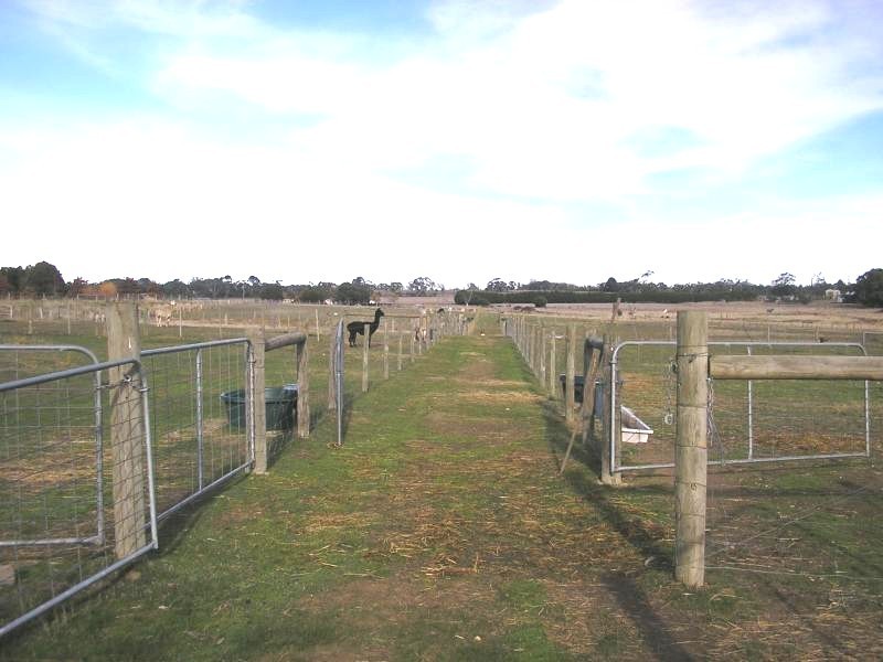 29 Peck Crt*, Gisborne VIC 3437