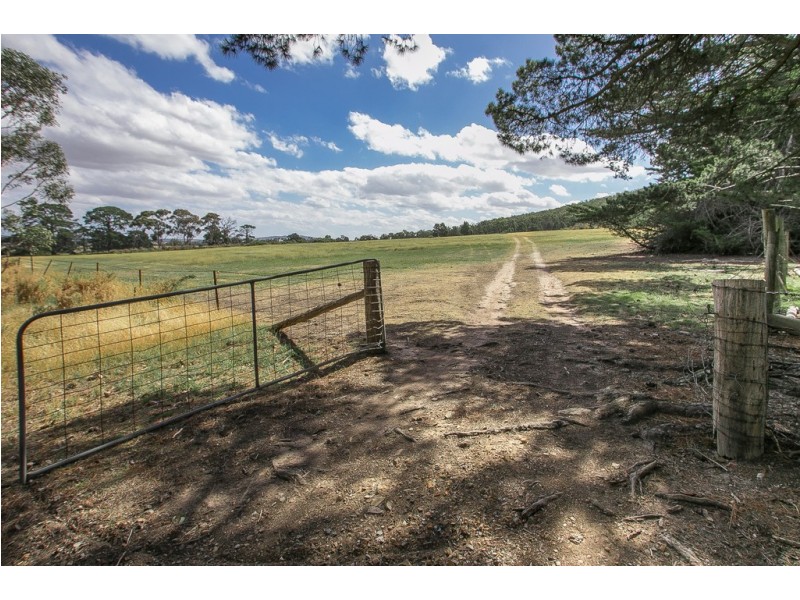 Crn Wheelrights Road and  Royal Parade, Riddells Creek VIC 3431