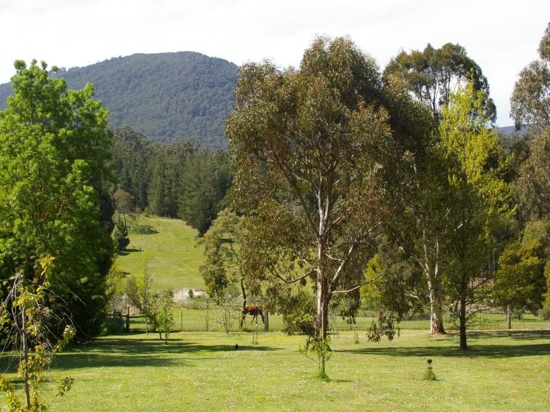 17 Windsor St, Macedon VIC 3440