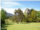 17 Windsor St, Macedon VIC 3440