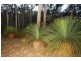 123 Mt. Robertson Rd*, New Gisborne VIC 3438