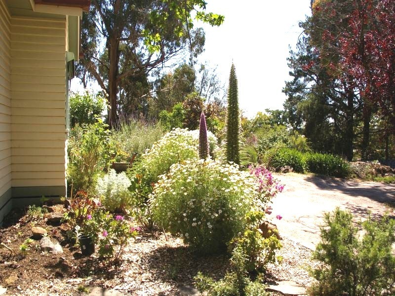 80 Howey St, Gisborne VIC 3437