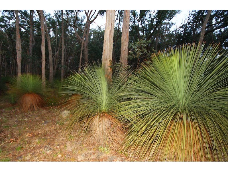 123 Mt. Robertson Rd, Gisborne VIC 3437