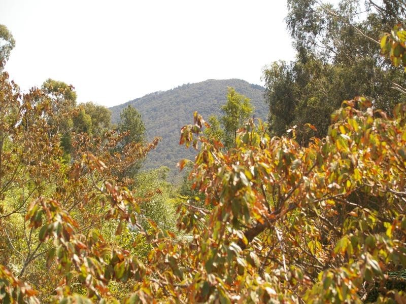 88 Carrington St, Macedon VIC 3440