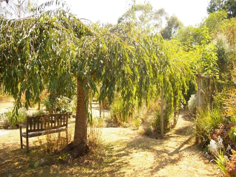 88 Carrington St, Macedon VIC 3440