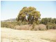 Lot 57 Pearce Crt, Gisborne VIC 3437