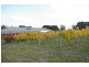 71 BENSON ROAD, Gisborne South VIC 3437