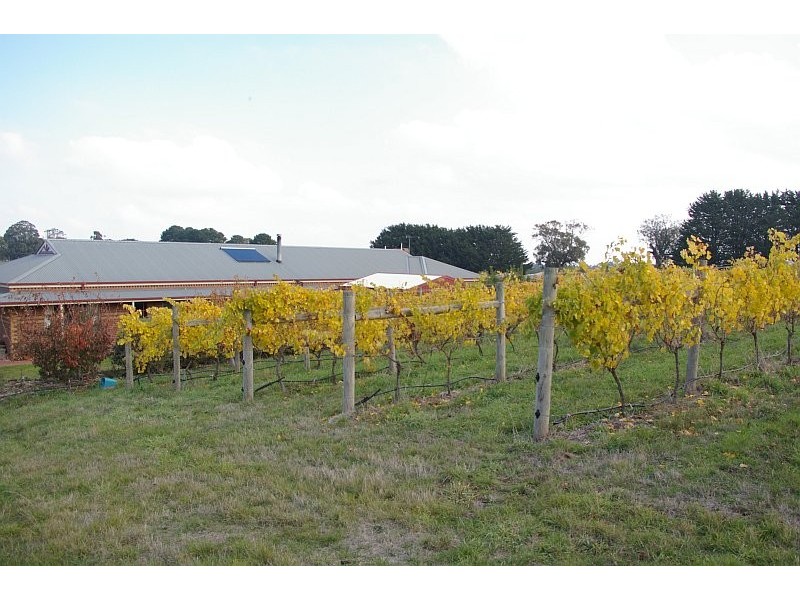 71 BENSON ROAD, Gisborne South VIC 3437