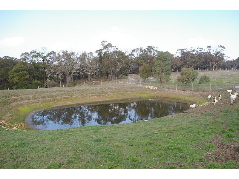 71 BENSON ROAD, Gisborne South VIC 3437