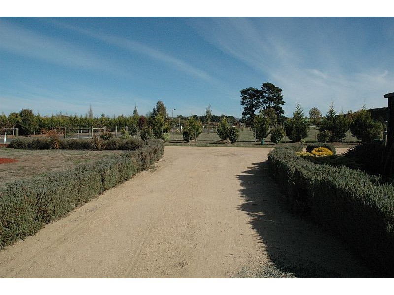 49  STUARTFIELD AVE, Romsey VIC 3434