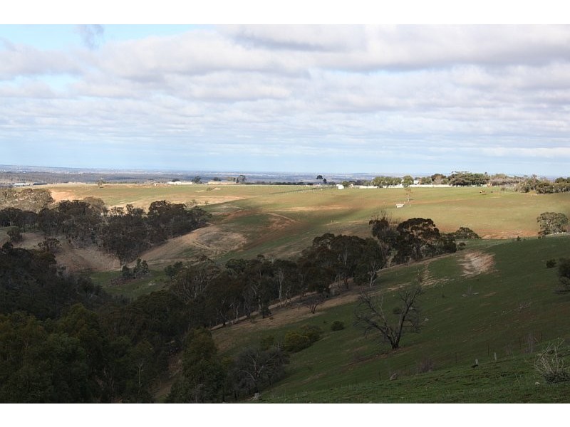 1925  GISBORNE/BACCHUS MARSH ROAD, Coimadai VIC 3340