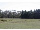 LOT 2 MELTON ROAD, Gisborne VIC 3437