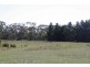 LOT 2  MELTON RD*, Gisborne VIC 3437