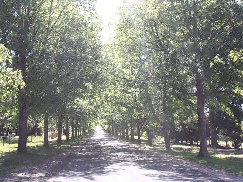 20 Honour Avenue, Macedon VIC 3440