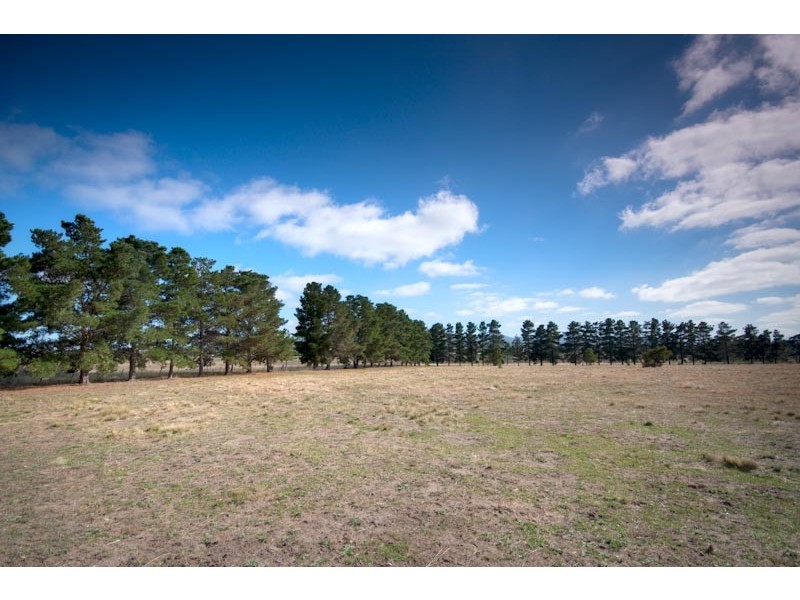 195 Campbells Rd, Riddells Creek VIC 3431