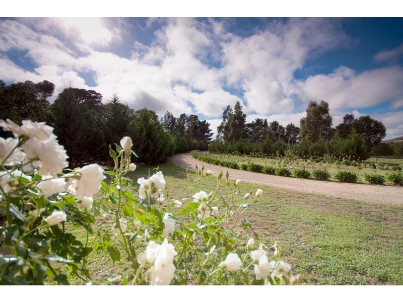 60 Cabbage Tree Lane*, Gisborne South VIC 3437