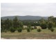 45 RAWS LANE, Riddells Creek VIC 3431