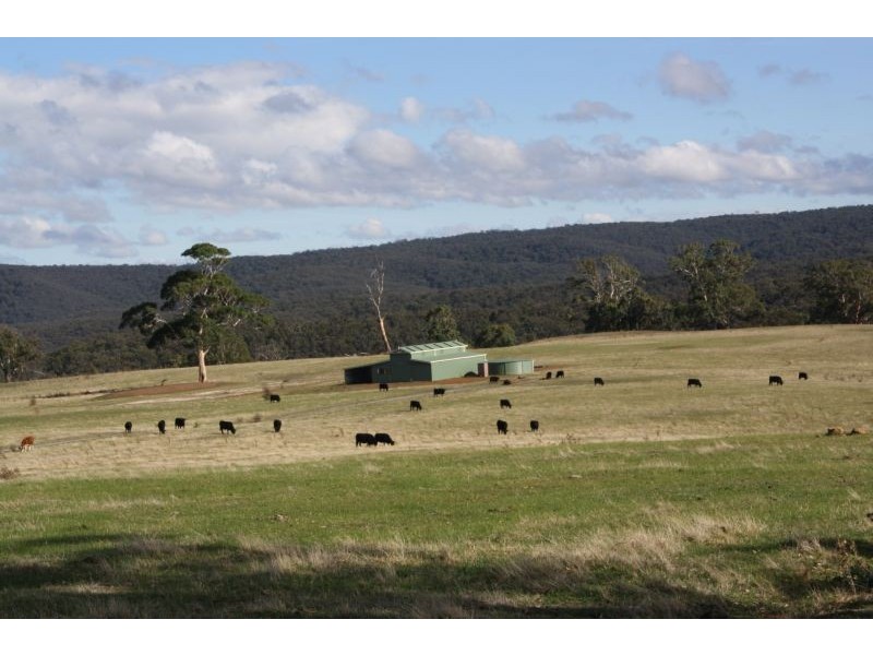 1138 GISBORNE-BACCHUS MARSH ROAD, Bullengarook VIC 3437