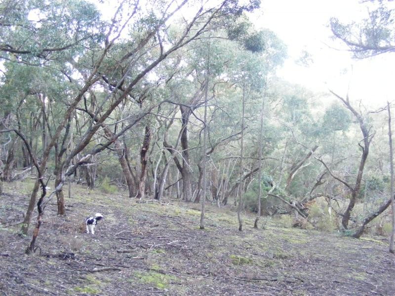 . Burns Lane, Gisborne South VIC 3437