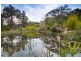 55 OUTAWOOD RISE, Gisborne VIC 3437