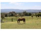 134 McGeorge Rd, Gisborne VIC 3437